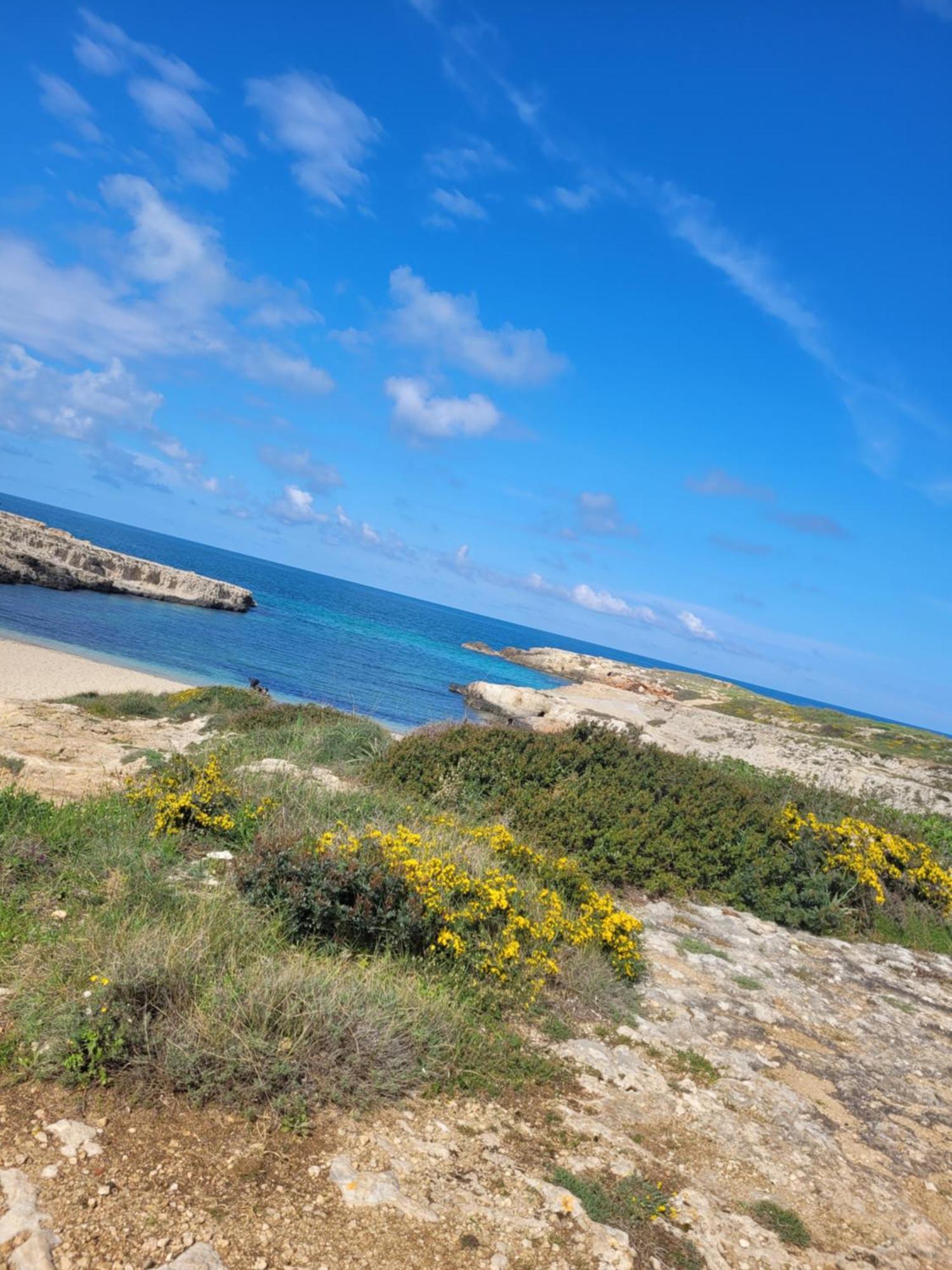 Cala Paradiso Monopoli Eksteriør bilde