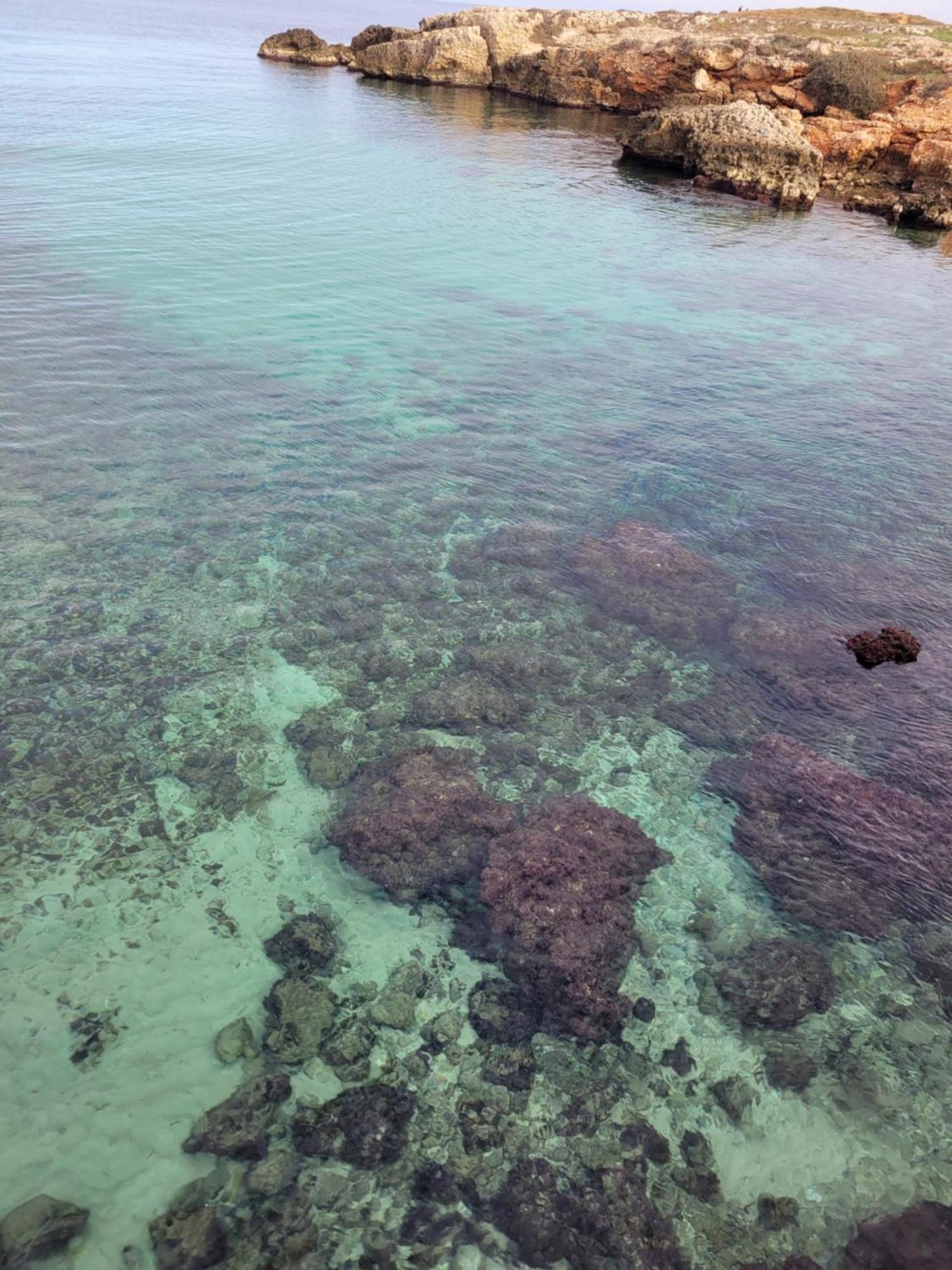 Cala Paradiso Monopoli Eksteriør bilde