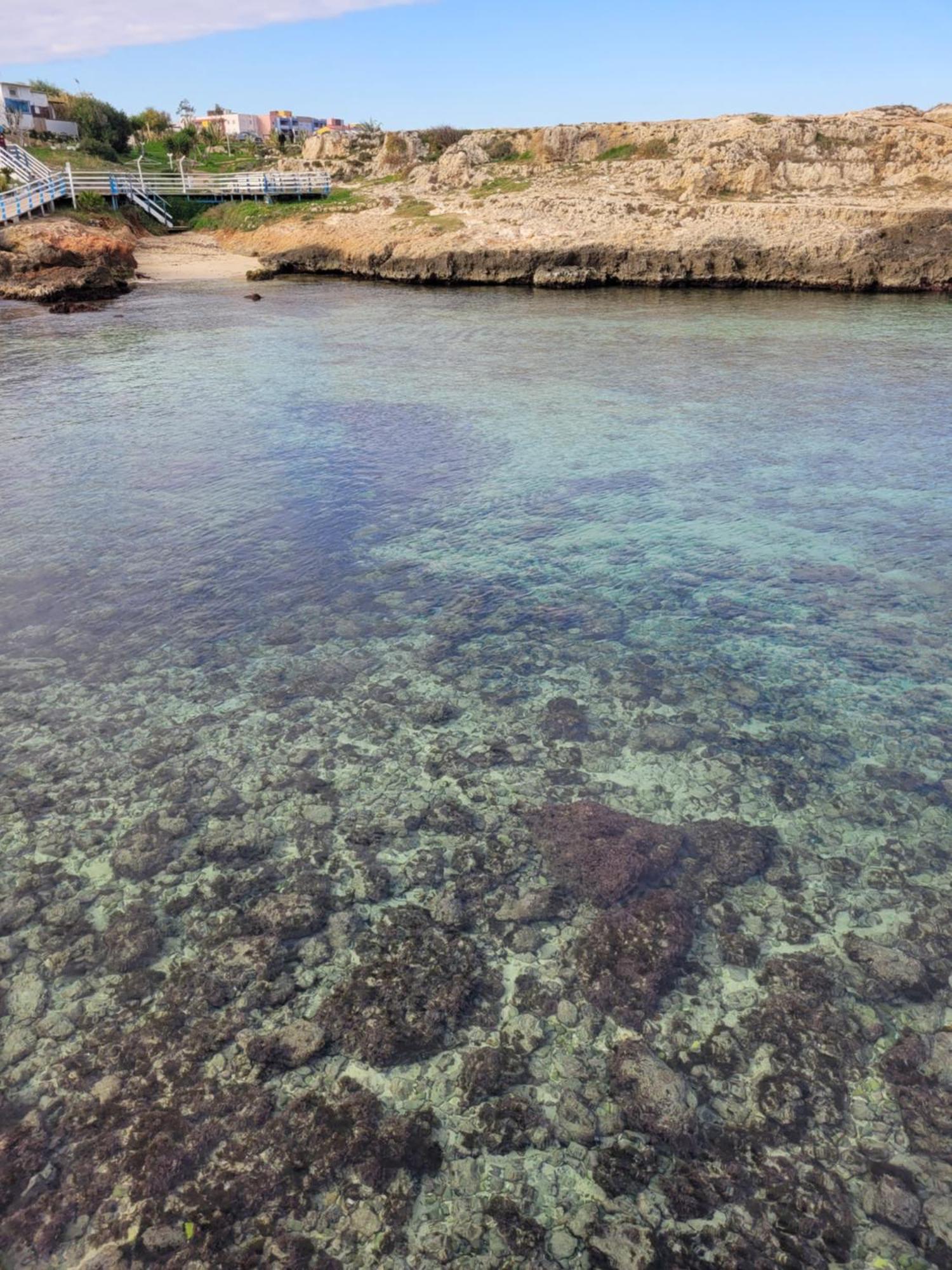 Cala Paradiso Monopoli Eksteriør bilde