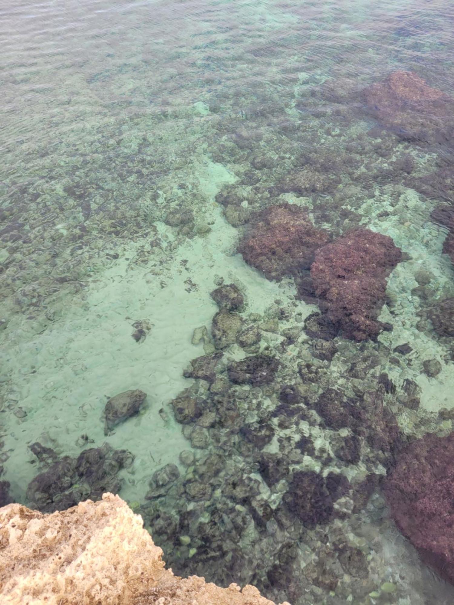 Cala Paradiso Monopoli Eksteriør bilde